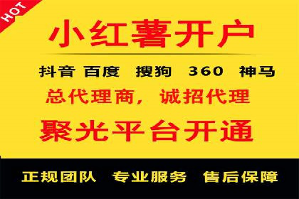 高效SEM托管服务：成功案例深度解析